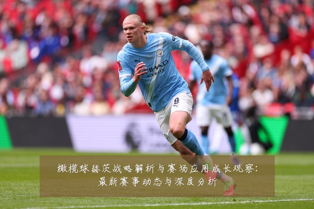 橄榄球赫茨战略解析与赛场应用成长观察：最新赛事动态与深度分析